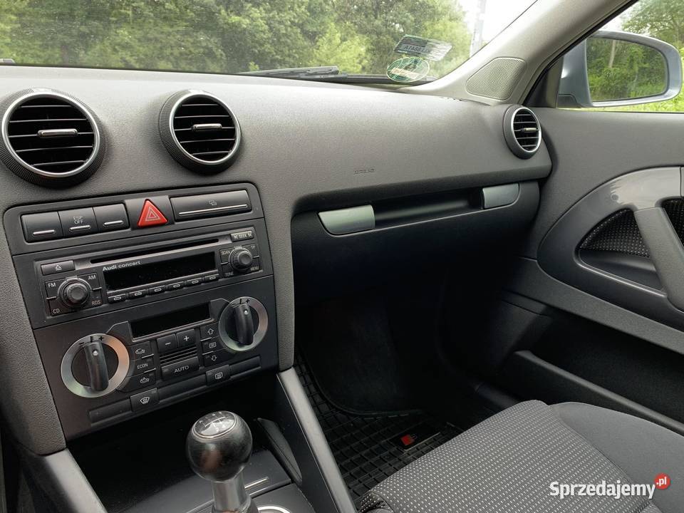 Audi A3 8P 19 TDI 105 BEZ DPF nieuszkodzony Jaworzno sprzedam