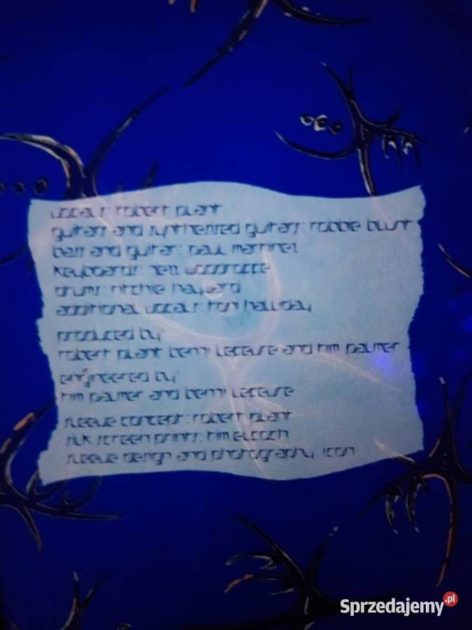 Klasyka rocka ROBERT PLANT podkarpackie