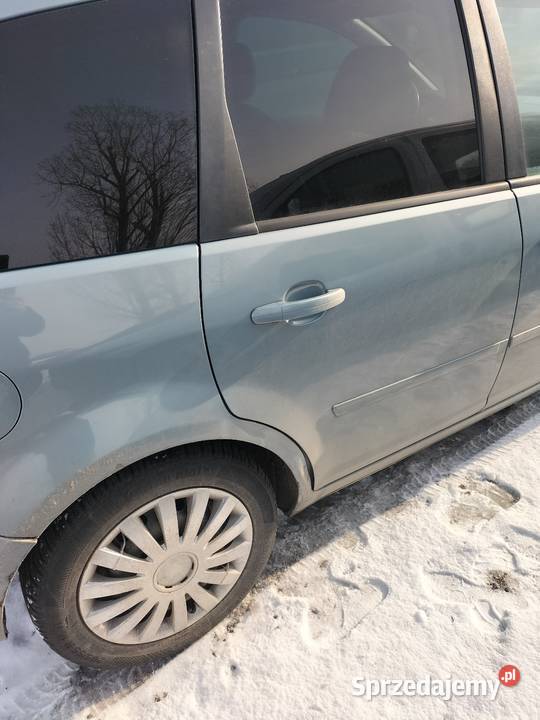 Ford C Van / Minibus C-MAX Dziwigórz