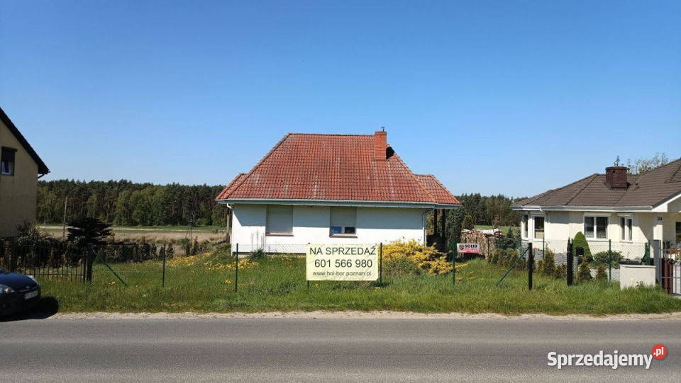 Dom z widokiem na stawy i las wielkopolskie Zielątkowo