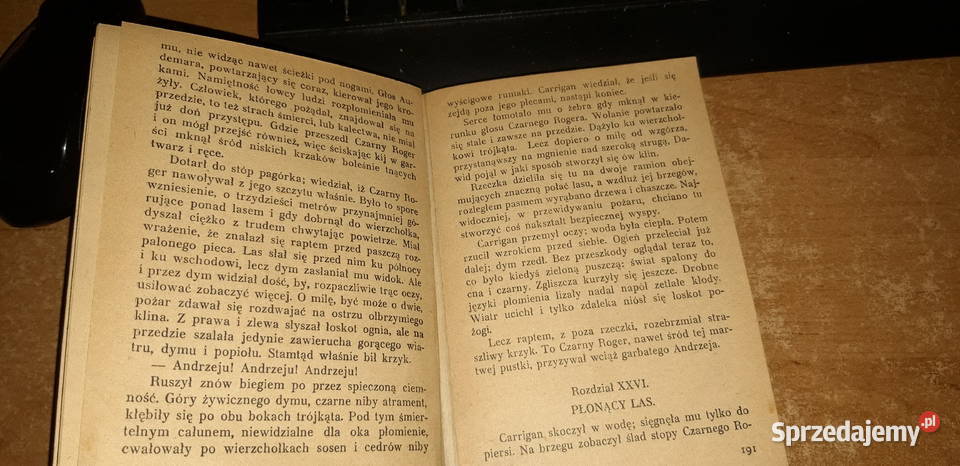 JOCURWOODPŁONĄCY LASWa1930pierwodruk No3224 cudo Iwno sprzedam