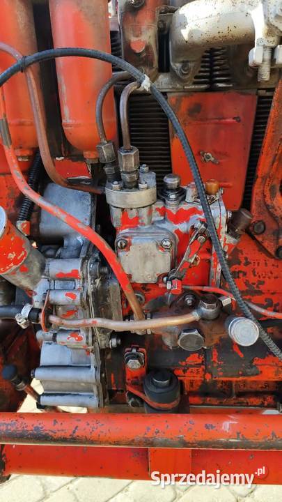 Władimirec pierwszy właściciel Grodzisko Dolne sprzedam