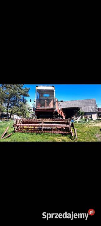 Sprzedam bizona z056 Lasek sprzedam