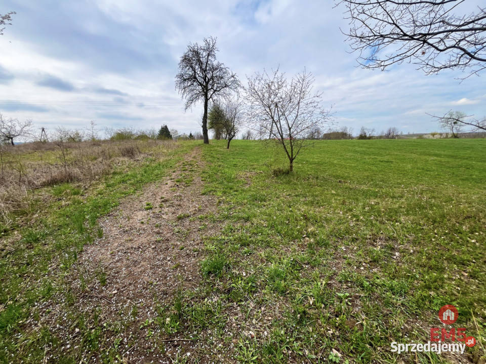 Grunt 5350m2 Nowe Aleksandrowo 5350m2 podlaskie