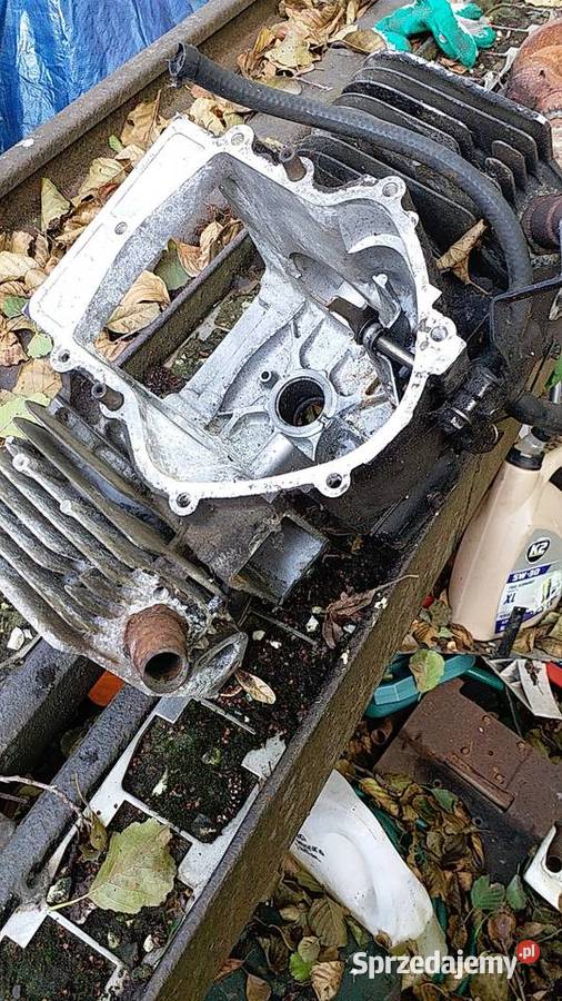 Blok silnika BriggsStratton Bokser2 cylindry Gorzów Wielkopolski sprzedam