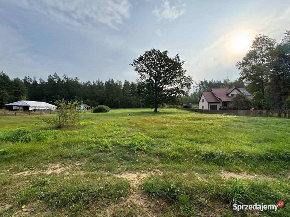 Działka budowlana o pow 3 499 m we wsi Jeże sprzedam