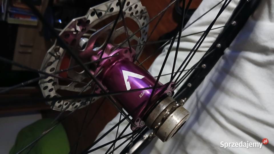 Piasta alaudark różowa lubelskie Zamość