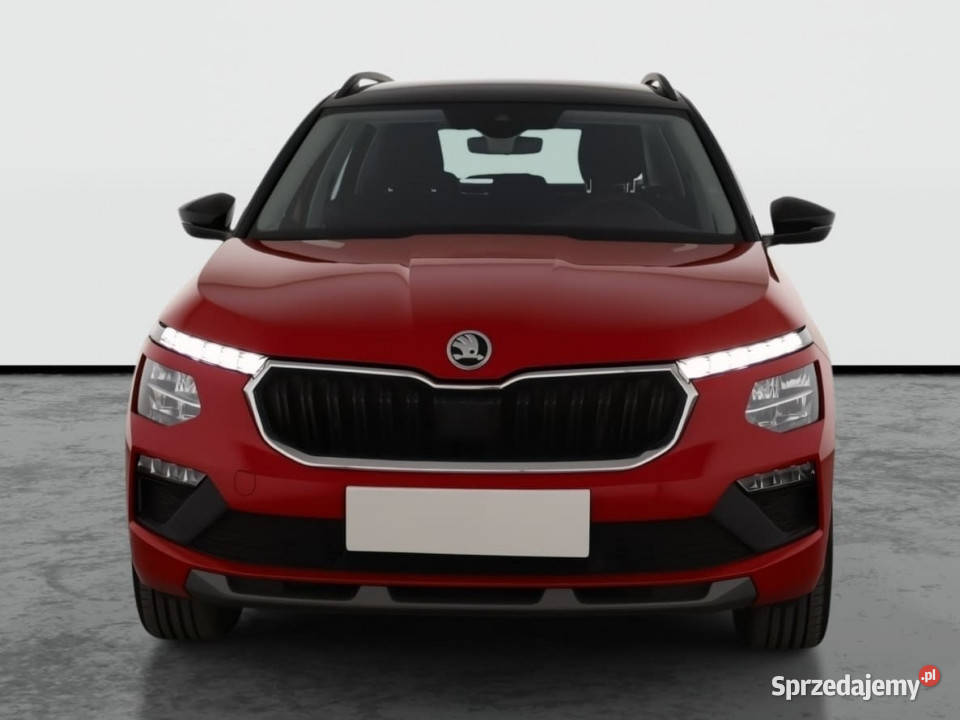 Skoda Kamiq 10 TSI ASR (kontrola trakcji) Kamiq Škoda