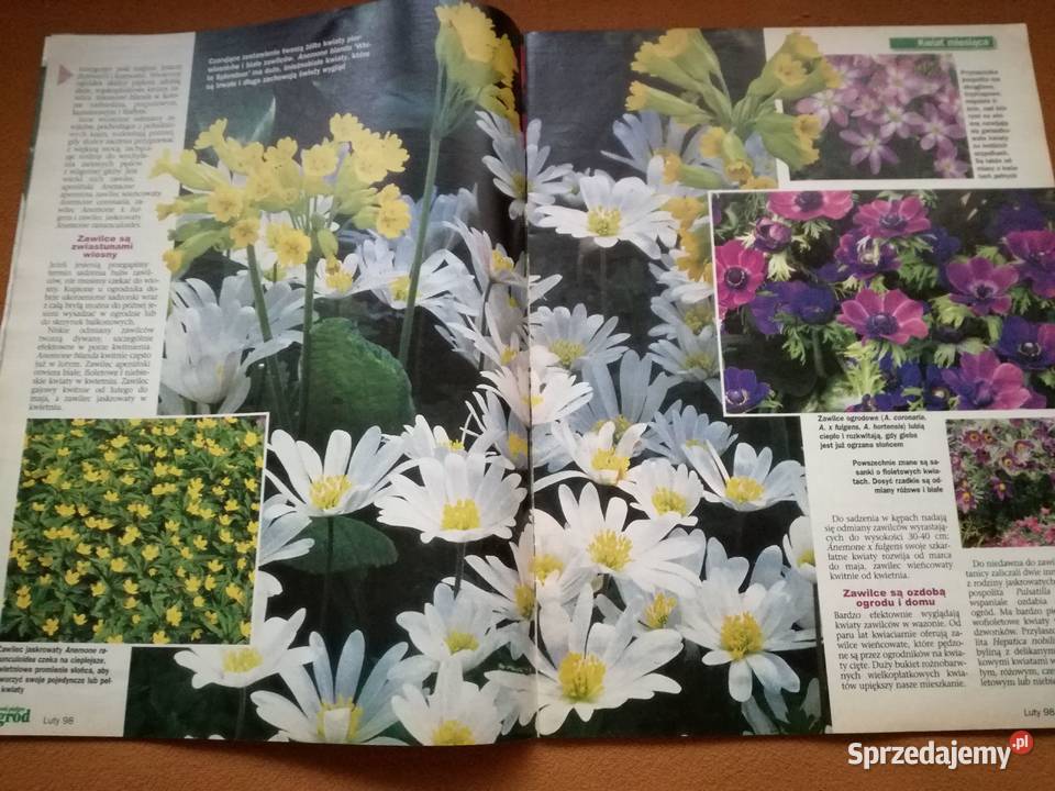 Mój piękny ogród czasopismopraktyczny magazyn łódzkie Łódź