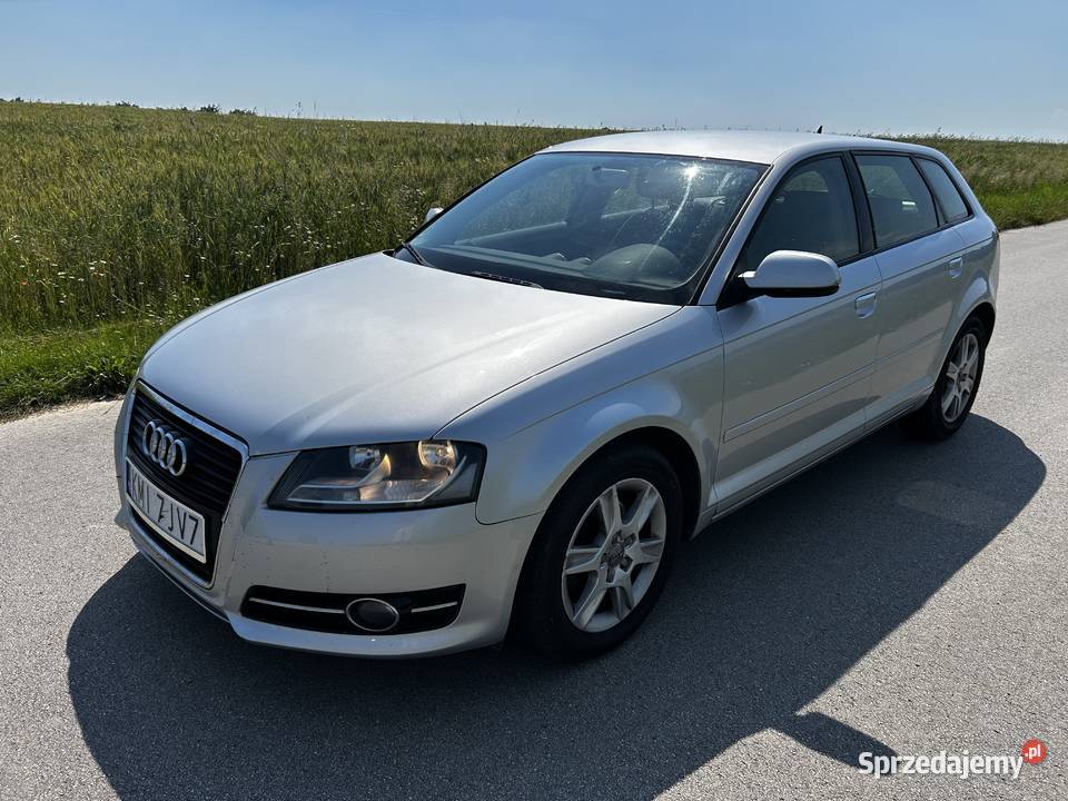 Audi a3 8p 20 Tdi 140 280km Gołcza