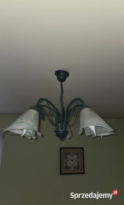 Lampa sufitowa Lampy wiszące podkarpackie Jasło