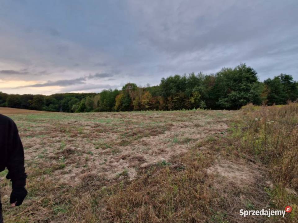 Syndyk sprzeda nieruchomość niezabudowaną pomorskie Gdańsk