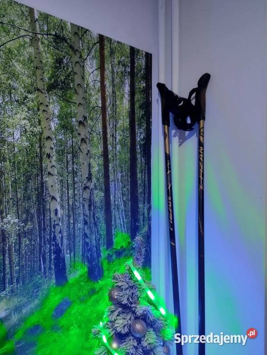 Kije Fizan carbon runner 110 nordic walking małopolskie Kraków sprzedam