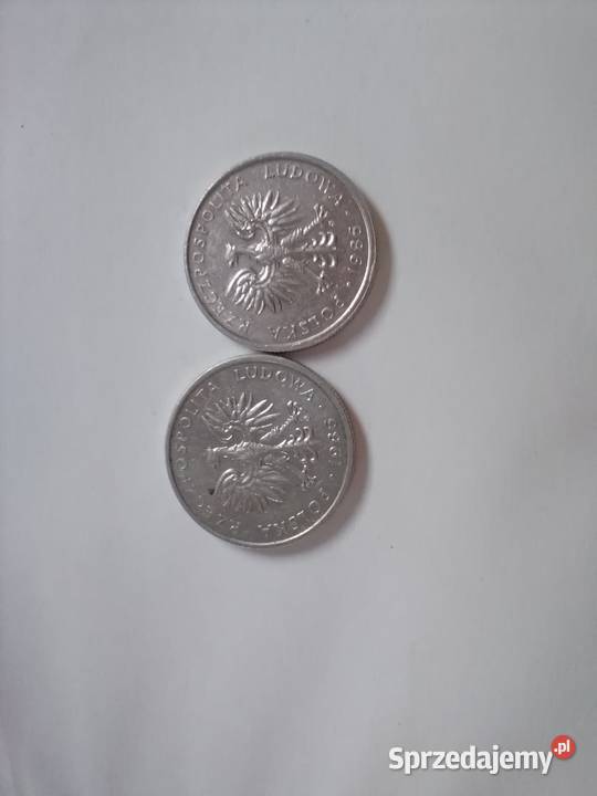 Moneta nominał 50 groszy Numizmatyka Łódź