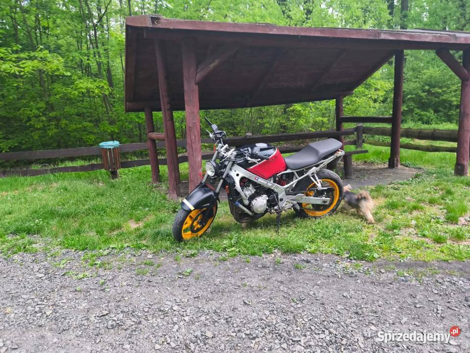 Honda CBR 600 OC i PT 11111km Motocykle, skutery, quady opolskie Grodków