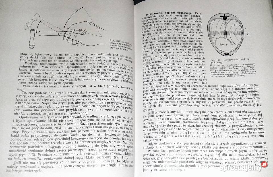 Weterynaryjna diagnostyka kliniczna Janos Mocsy Kultura i Rozrywka