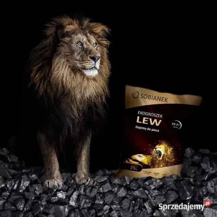 Ekogroszek Sobianek Lew TRANSPORT Głowaczów mazowieckie Kozienice