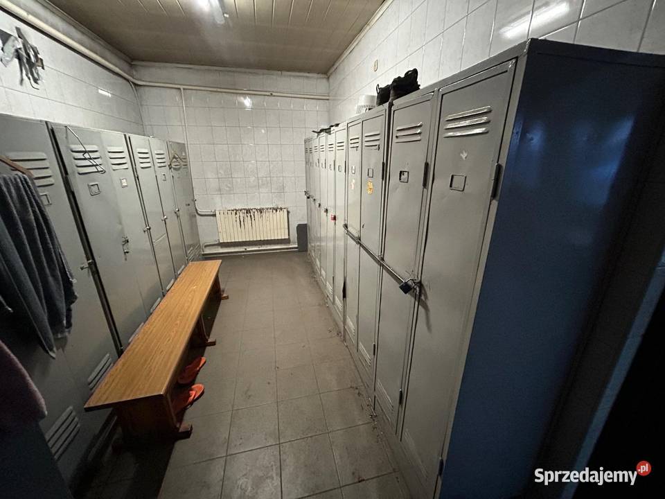 Wynajem hali Aleksandria