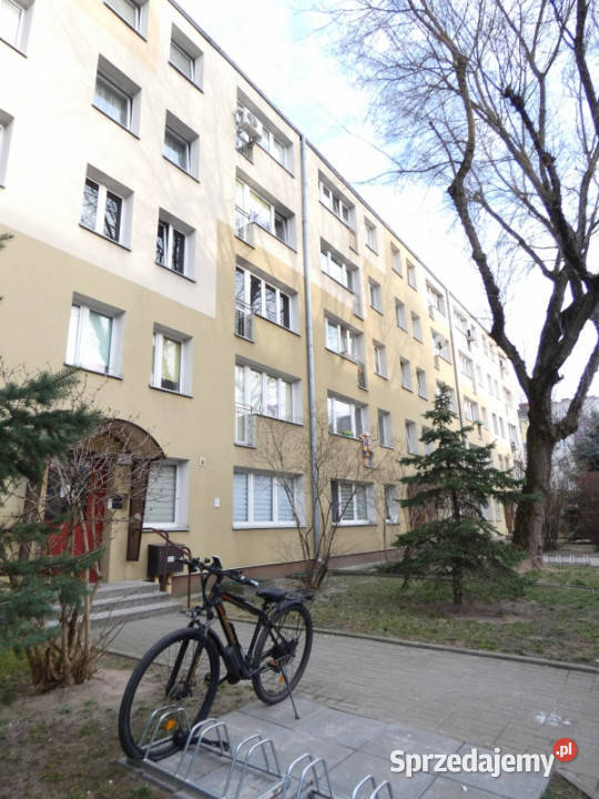 38m z potencjałem widok na zieleń 18min SKM do Warszawa