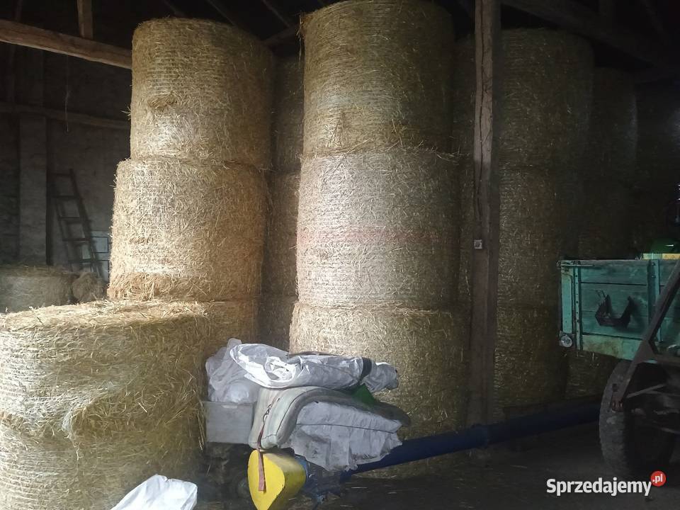 Siano w kostkach i słoma w belach 120 x 120 Trawy, słoma