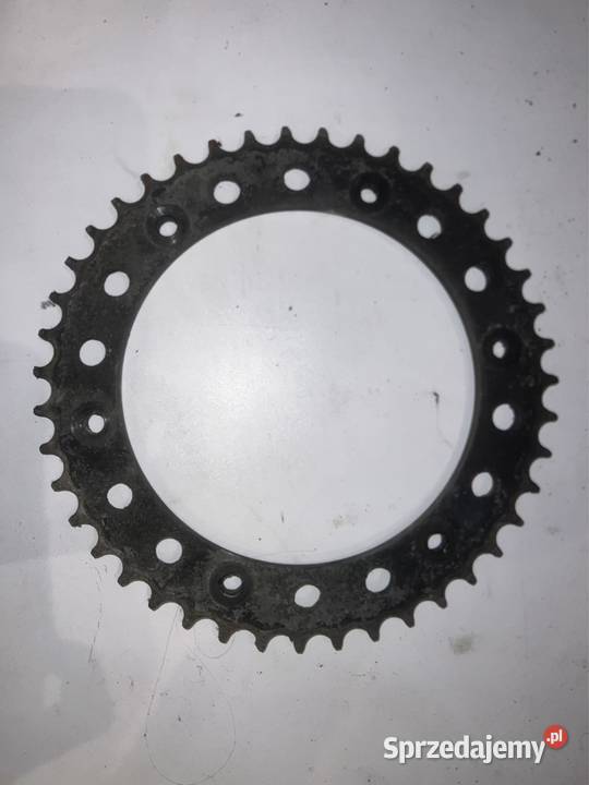 Zębatki zębatka wielkopolskie sprzedam