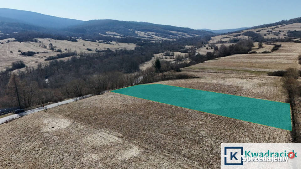 Sprzedaż gruntu Jaśliska 3091m2 podkarpackie