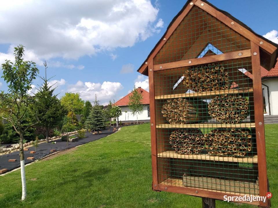 Hotel pszczół murarek i innych owadów Buchałowice