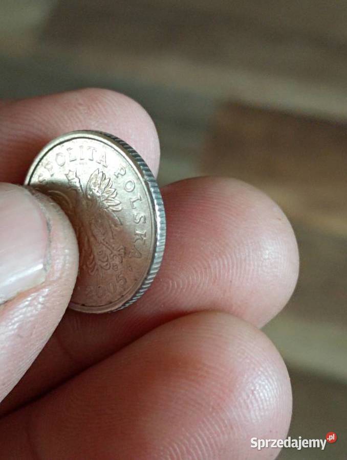 Sprzedam 20 groszy 2005 Chełm