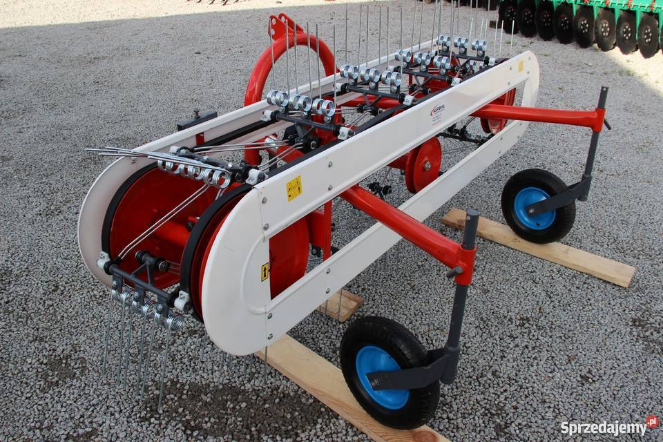 Przetrząsacz pasowy pająk pasówka kujawsko-pomorskie Rogóźno