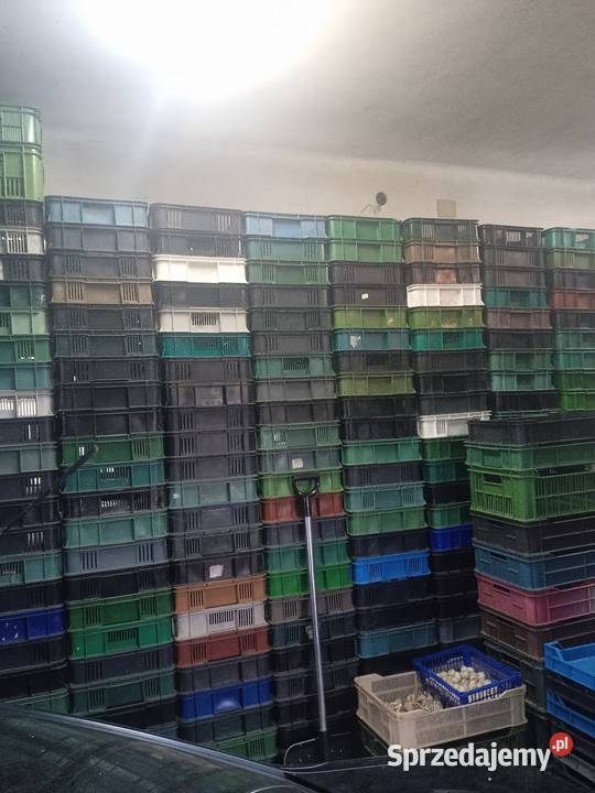 Skrzynka plastikowa Czeszka Modliborzyce
