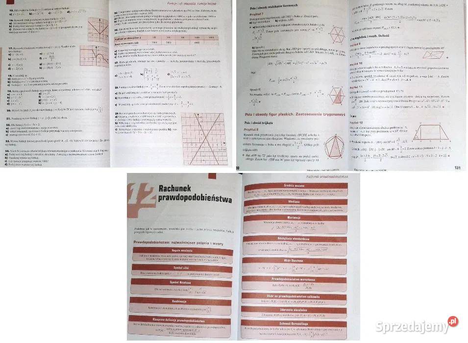 Matematyka przed maturą Przyjemna i pożyteczna sprzedam