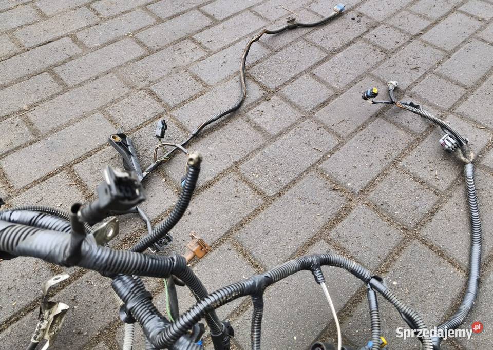 Wiązka elektrycznaskrzynka bezpieczników Renault Poddębice