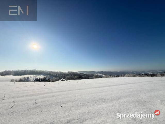 Grunt 4700m2 Gwoźnica Górna podkarpackie