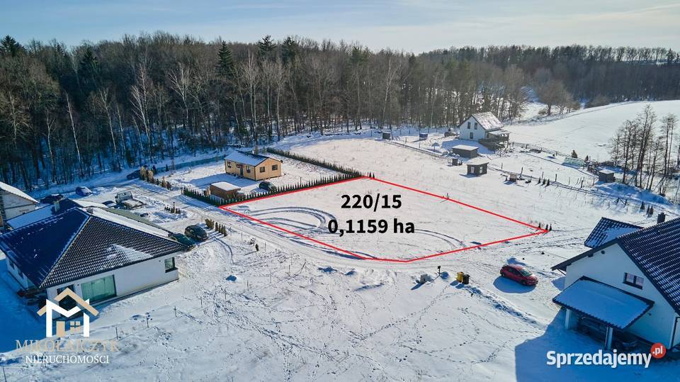 Działka budowlana Galiny 011 ha lasu sprzedam