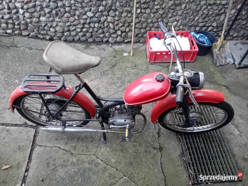 Komar sztywniak sprawny Kwidzyn