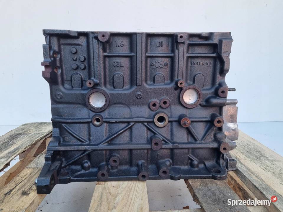 BLOK SILNIKA 16 TDI CAY VW Golf VI Passat B7 osobowe Rudka