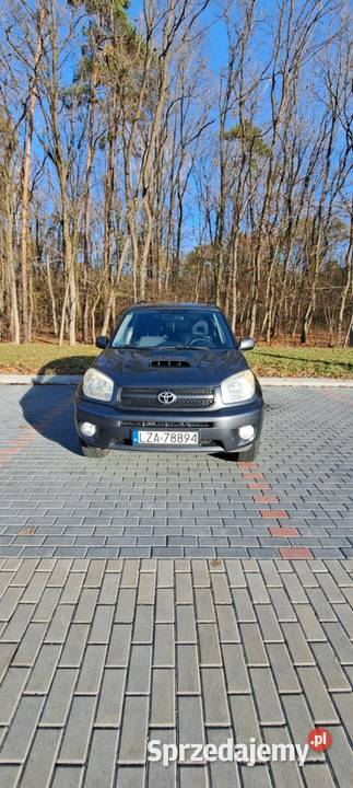 Toyota RAV4 2005 Ryki