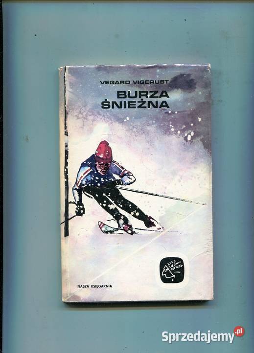 Burza śnieżna Vegaro Vigerust Szczecin