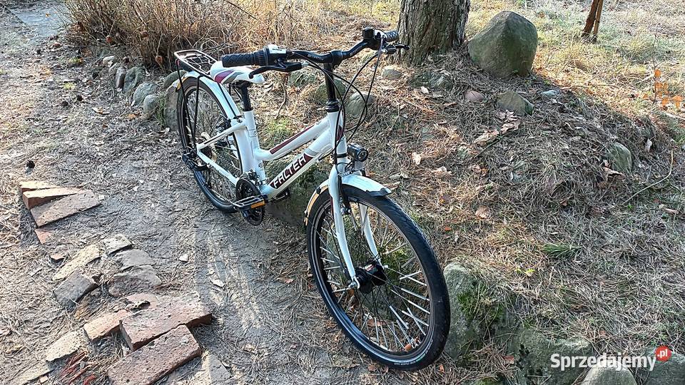 Alu Rower Młodzieżowy Dziecięcy Falter FX 421 Wołów