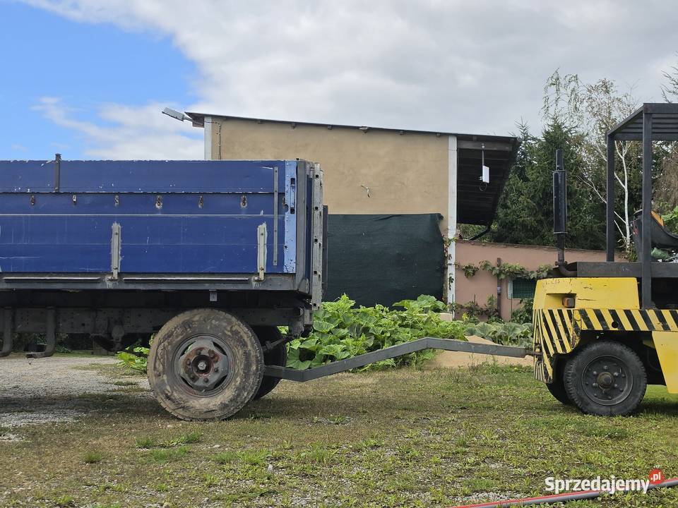 Przyczepa dł 730 szer 250 wys 80 Januszkowice