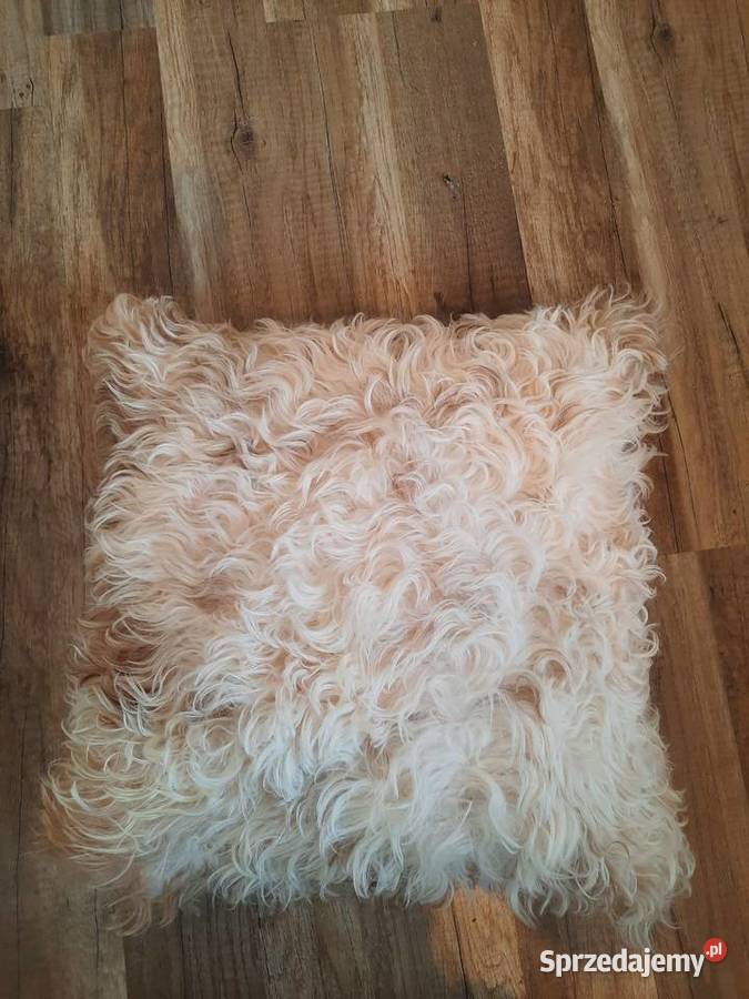 Poduszka Dekoracyjna Skóra Owcza Tybetańska Szaflary