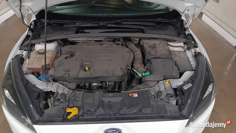 Ford Focus 150 20 tdci manualna Kutno