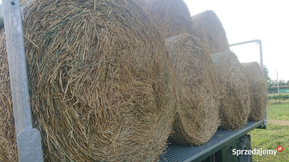 Słoma okrągłe bale 120 120 świeża Wola Zabierzowska