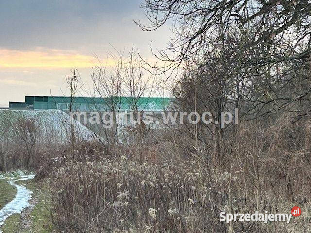 Oferuję działke rolną Bystrzycą w Jerzmanowie dolnośląskie Wrocław sprzedam