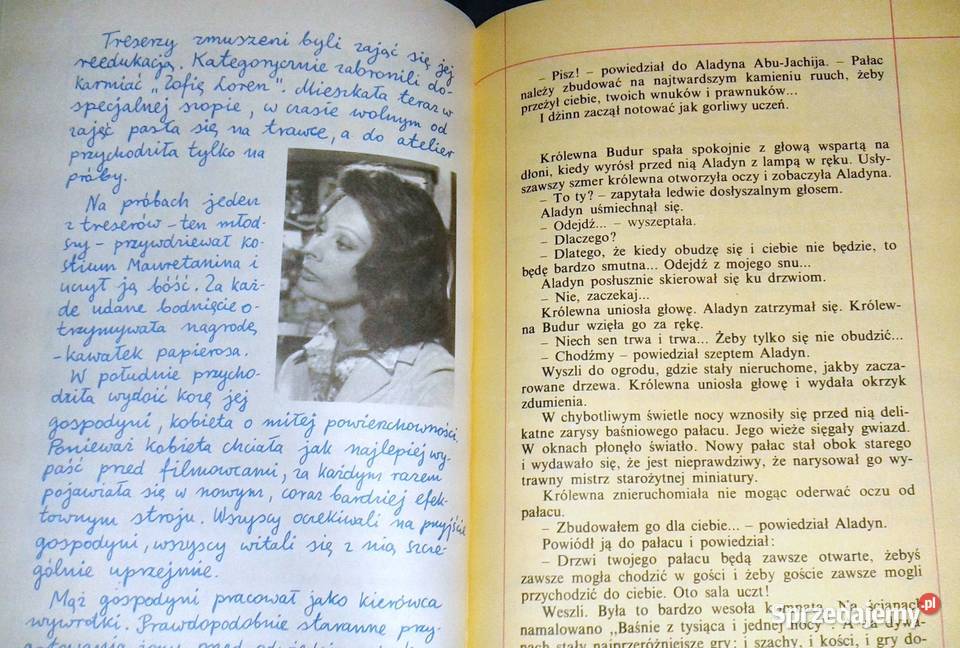 Historia jednego filmu Wiktor Witkowicz