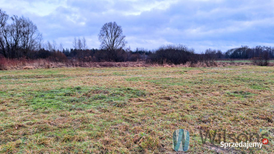 Do sprzedaży działka 3001m Topórek 3001m2