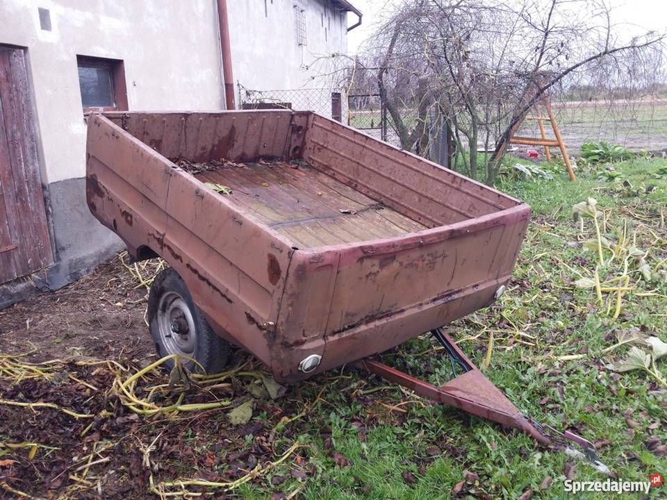 unikatowa przyczepka Tarpan wielkopolskie Lubasz
