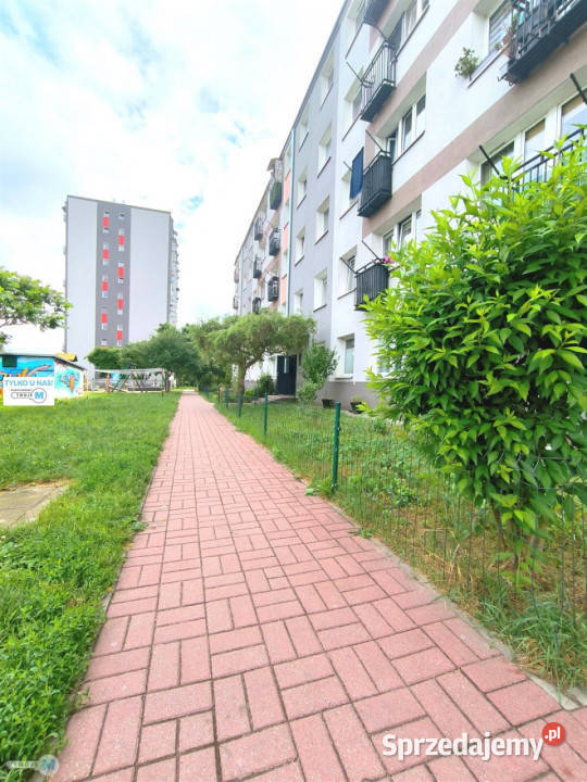 Ogłoszenie mieszkanie Kielce 261m2 1 pokój