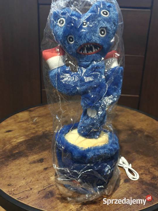 Tańczące maskotki kaktusyhuggy wuggy dolnośląskie Wrocław