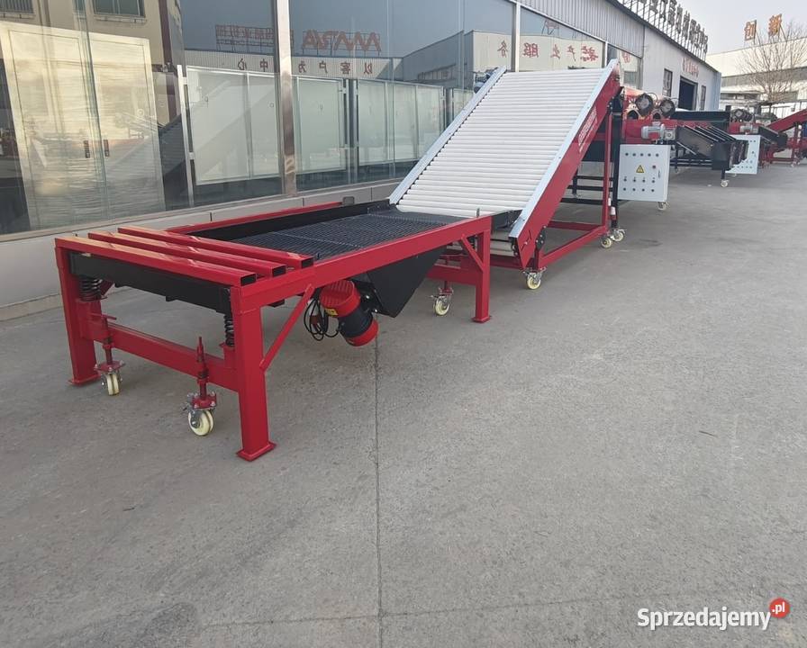 Automatyczny Sortownik do czosnku mazowieckie Warszawa